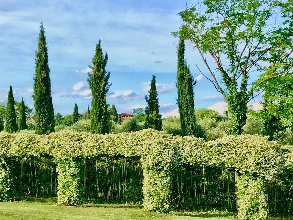 Agriturismo Antica Dimora Del Turco Sona Ngoại thất bức ảnh