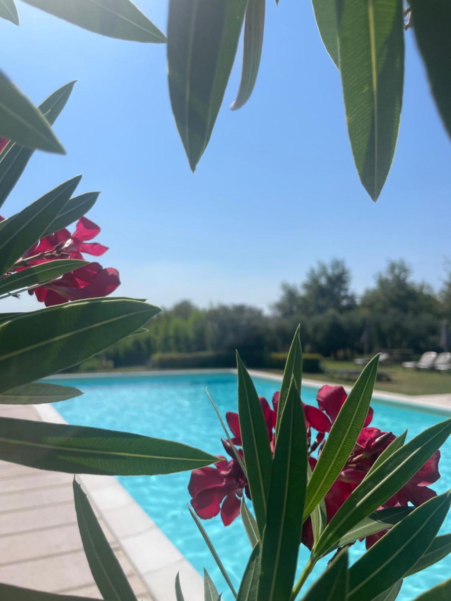 Agriturismo Antica Dimora Del Turco Sona Ngoại thất bức ảnh